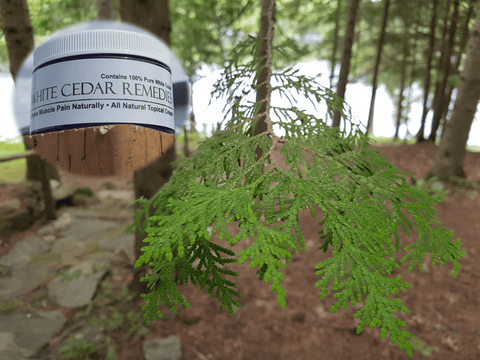 White Cedar Remedy
